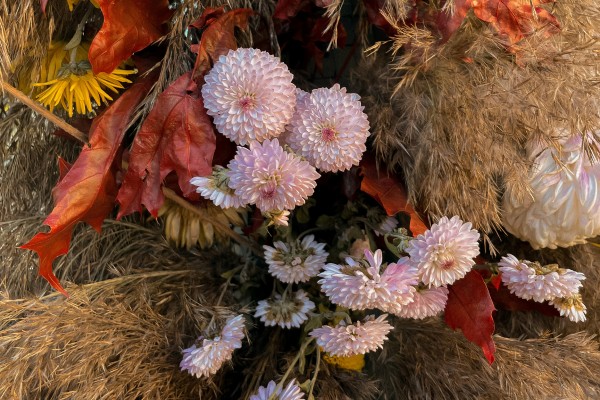 Herfstmandje
